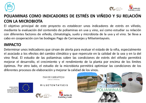 POLIAMINAS COMO INDICADORES DE ESTRÉS EN VIÑEDO Y SU RELACIÓN CON LA MICROBIOTA